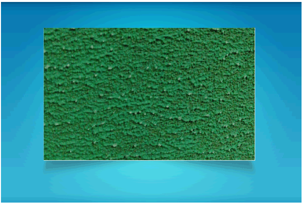 1460773253882652.gif y53(1).gif